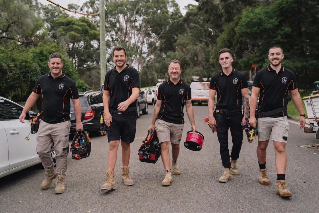 Professional electrical services in Allambie Heights